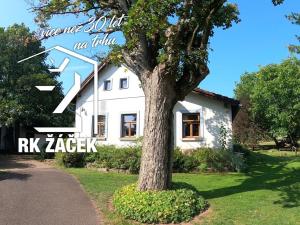 Prodej rodinného domu, Pecka, 300 m2