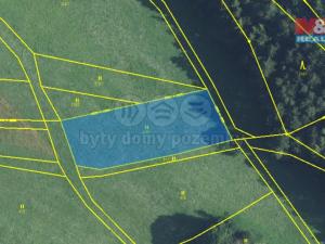 Prodej louky, Nová Ves u Jarošova, 10562 m2