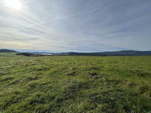 Prodej louky, Horní Planá - Pernek, 8530 m2