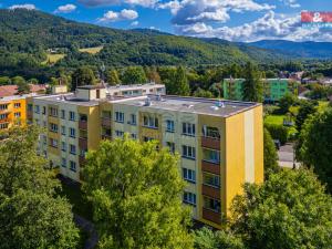 Prodej bytu 3+1, Raškovice, 68 m2