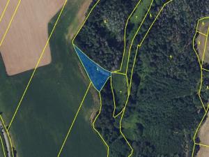 Prodej lesa, Letovice, 1894 m2