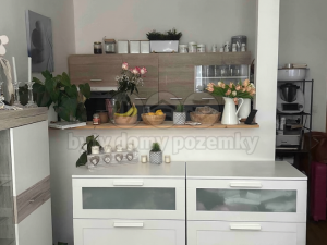 Pronájem bytu 1+kk, Plzeň, Krašovská, 30 m2