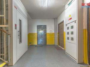 Prodej bytu 3+1, Děčín, Za Bažantnicí, 67 m2