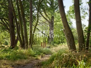 Prodej bytu 1+kk, Praha - Letňany, Tupolevova, 45 m2