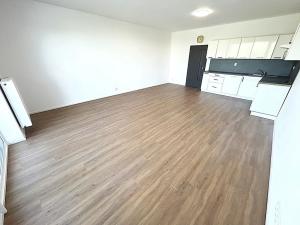 Pronájem bytu 1+kk, Plzeň, Františka Kováříka, 47 m2