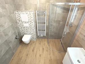 Pronájem bytu 1+kk, Plzeň, Františka Kováříka, 47 m2