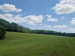 Prodej lesa, Bílá Lhota, 2912 m2