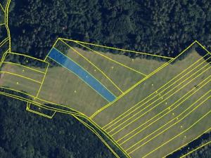 Prodej lesa, Bílá Lhota, 2912 m2