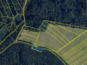 Prodej lesa, Bílá Lhota, 694 m2