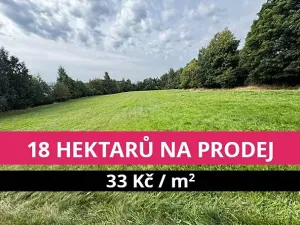 Prodej louky, Stráž nad Ohří, 176908 m2