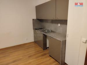 Pronájem bytu 1+kk, Praha - Hloubětín, Kukelská, 26 m2