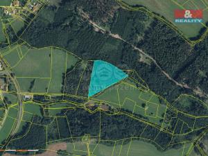 Prodej lesa, Libuň - Jivany, 15253 m2