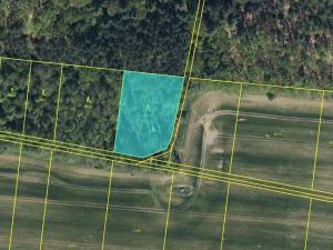 Prodej podílu lesa, Břehy, 5148 m2