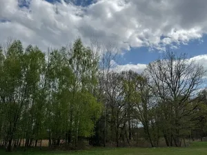 Prodej podílu pozemku, Stříbřec, 5449 m2