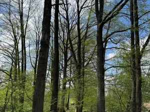 Prodej podílu pozemku, Stříbřec, 5449 m2