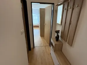 Pronájem bytu 1+kk, Plzeň, Nepomucká, 25 m2