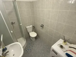 Pronájem bytu 1+kk, Plzeň, Nepomucká, 25 m2