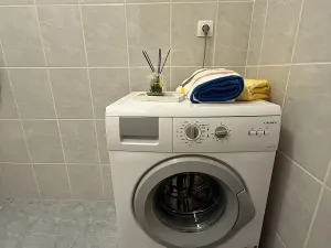 Pronájem bytu 1+kk, Plzeň, Nepomucká, 25 m2