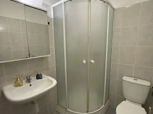 Pronájem bytu 1+kk, Plzeň, Nepomucká, 25 m2