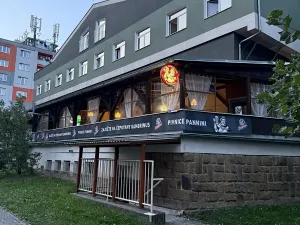 Pronájem bytu 1+kk, Plzeň, Nepomucká, 25 m2