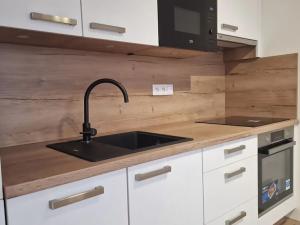 Pronájem bytu 1+kk, Plzeň, Studentská, 40 m2