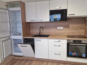 Pronájem bytu 1+kk, Plzeň, Studentská, 40 m2