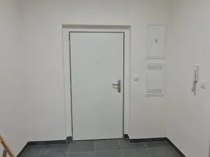Pronájem bytu 1+kk, Plzeň, Studentská, 40 m2