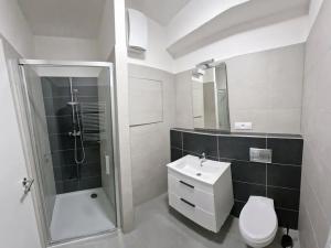Pronájem bytu 1+kk, Plzeň, Studentská, 40 m2