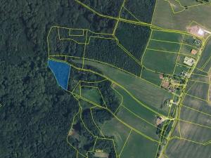 Prodej lesa, Nová Paka, 4999 m2