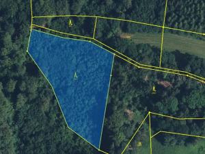 Prodej lesa, Nová Paka, 4999 m2