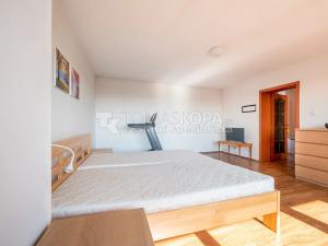 Prodej vícegeneračního domu, Velké Přítočno, Krátká, 180 m2