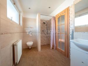 Prodej vícegeneračního domu, Velké Přítočno, Krátká, 180 m2