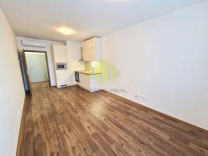 Pronájem bytu 1+kk, Olomouc, Šantova, 32 m2
