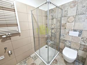 Pronájem bytu 1+kk, Olomouc, Šantova, 32 m2