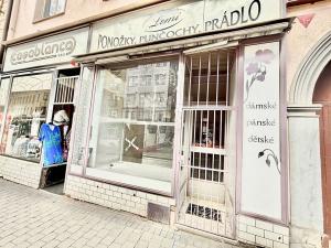Pronájem obchodního prostoru, Brno, Pekařská, 23 m2