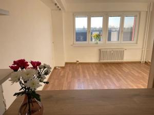Pronájem bytu 4+kk, Ostrava, Nedbalova, 75 m2