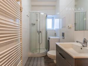 Pronájem bytu 1+kk, Dobrá Voda u Českých Budějovic, Lázeňská, 25 m2