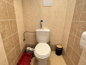 Pronájem bytu 2+kk, Holubice, Platanová, 99 m2