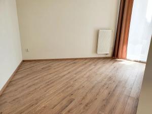 Pronájem bytu 1+kk, Brno, Plotní, 49 m2