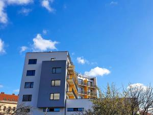 Pronájem bytu 1+kk, Brno, Plotní, 49 m2
