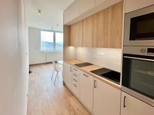 Pronájem bytu 1+kk, Brno, Placzkova, 33 m2