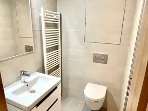 Pronájem bytu 1+kk, Brno, Placzkova, 33 m2