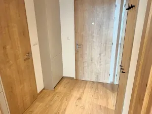 Pronájem bytu 1+kk, Brno, Placzkova, 33 m2