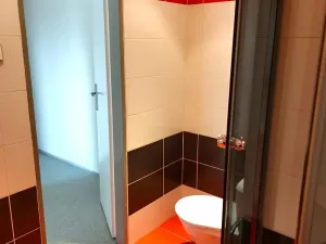 Pronájem bytu 2+kk, Bílina, Aléská, 48 m2