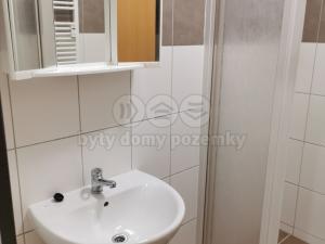 Pronájem bytu 1+kk, Dolní Kounice, nám. Míru, 25 m2
