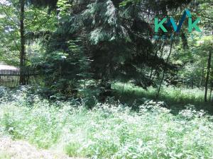 Prodej louky, Nejdek, 3354 m2
