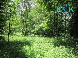 Prodej louky, Nejdek, 3354 m2