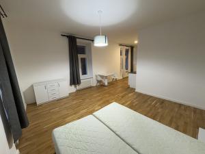 Prodej bytu 1+kk, Praha - Nové Město, Petrská, 45 m2