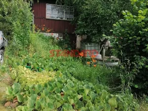 Prodej pozemku pro bydlení, Dobřany, 1205 m2