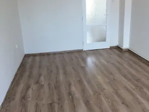 Pronájem bytu 2+1, Teplice, Štúrova, 54 m2